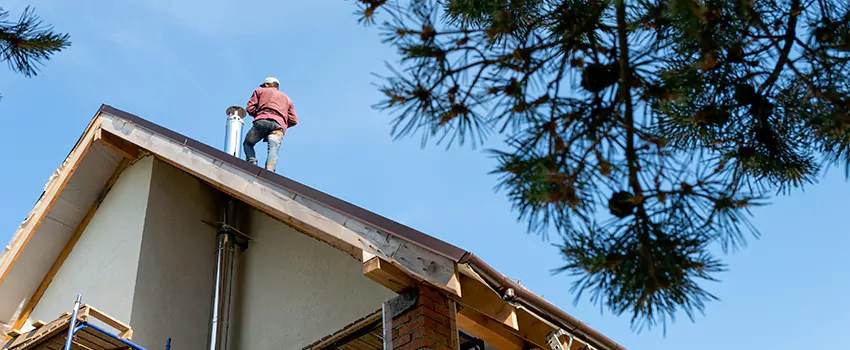 Birds Removal Contractors from Chimney in Mint Hill, NC